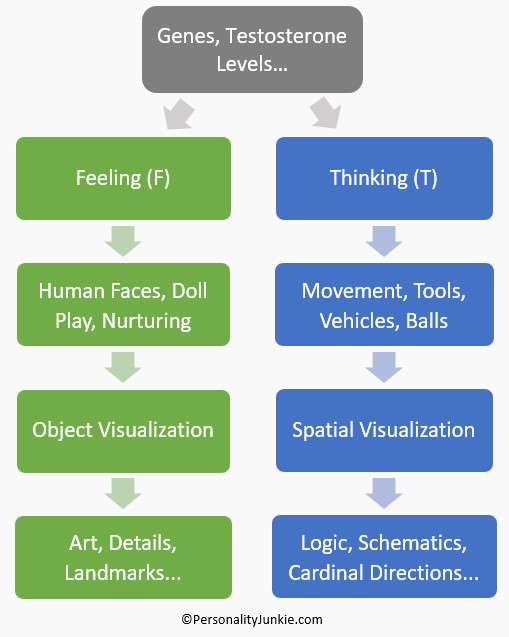 Thinking, Feeling & Cognitive Style Chart