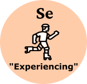 Extraverted Sensing Experiencing Icon