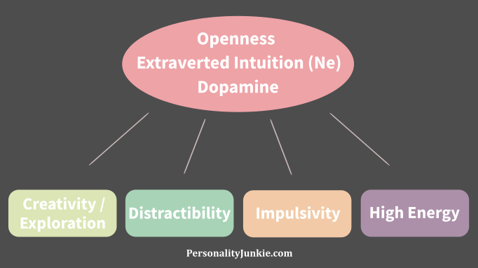 Extraverted Intuition (Ne) Diagram